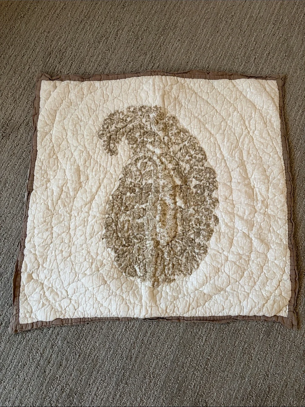 Pottery Barn Euro Sham